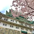 名古屋城の写真_228260
