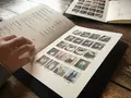 オクシモロン コマチ（OXYMORON komachi）の写真_228270