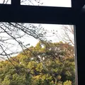 しょうゆきゃふぇ 元町の写真_228317