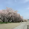 牧野ヶ池緑地の写真_228322