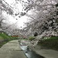 幡山保育園の写真_228326