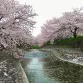 幡山保育園の写真_228329