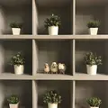 24"7の写真_228366