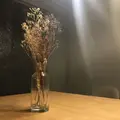 24"7の写真_228369