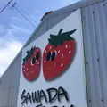 澤田農園の写真_228421