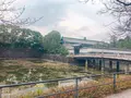 皇居の写真_228458
