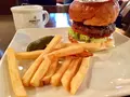 Shake Tree Burger & Bar（シェイクツリー バーガー＆バー）の写真_228534