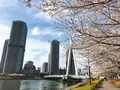 中央大橋の写真_228642