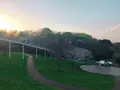 神奈川県立茅ヶ崎里山公園の写真_228869