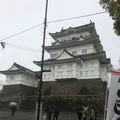 小田原城の写真_229091