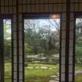 旧三井家下鴨別邸の写真_229666