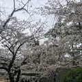 ヨーキーズブランチ （YORKYS BRUNCH）の写真_229780