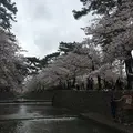 ヨーキーズブランチ （YORKYS BRUNCH）の写真_229781