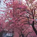 馬車道駅の写真_229981
