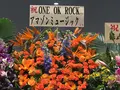 横浜アリーナの写真_230501