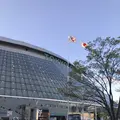 東京ドームの写真_230684