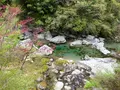 安居渓谷の写真_230747