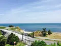 淡路島国営明石海峡公園の写真_230779