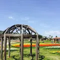淡路島国営明石海峡公園の写真_230780