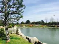 淡路島国営明石海峡公園の写真_230781