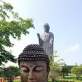 牛久大仏の写真_230914