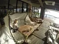 ジャングリラの写真_231170