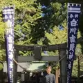 白川水源の写真_231605