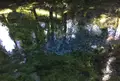 白川水源の写真_231606
