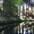 白川水源の写真_231609