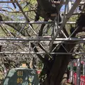 立花いこいの森の写真_231672