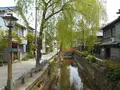 ペリーロードの写真_231725