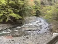 ヤビツ峠の写真_232234