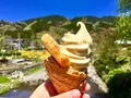 道の駅 果樹公園あしがくぼの写真_232325