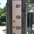 新宿御苑の写真_232391