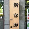 新宿御苑の写真_232393
