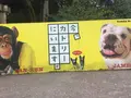 阿蘇カドリー・ドミニオンの写真_233154