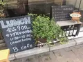 B.Cafeの写真_233730