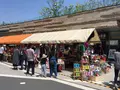 二子玉川ライズ・ショッピングセンターの写真_233910
