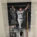墨田区総合体育館の写真_234338