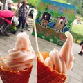 国営武蔵丘陵森林公園の写真_234426