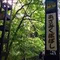 国営武蔵丘陵森林公園の写真_234427