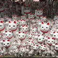 豪徳寺の写真_234617