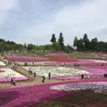 羊山公園の写真_234950