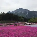 羊山公園の写真_234951
