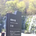山中湖花の都公園の写真_235144