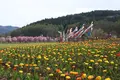 山中湖花の都公園の写真_235145