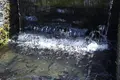 忍野八海の写真_235167