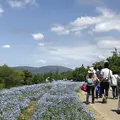馬見丘陵公園の写真_235242
