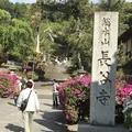 長谷寺の写真_235647