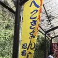 赤目四十八滝の写真_235652